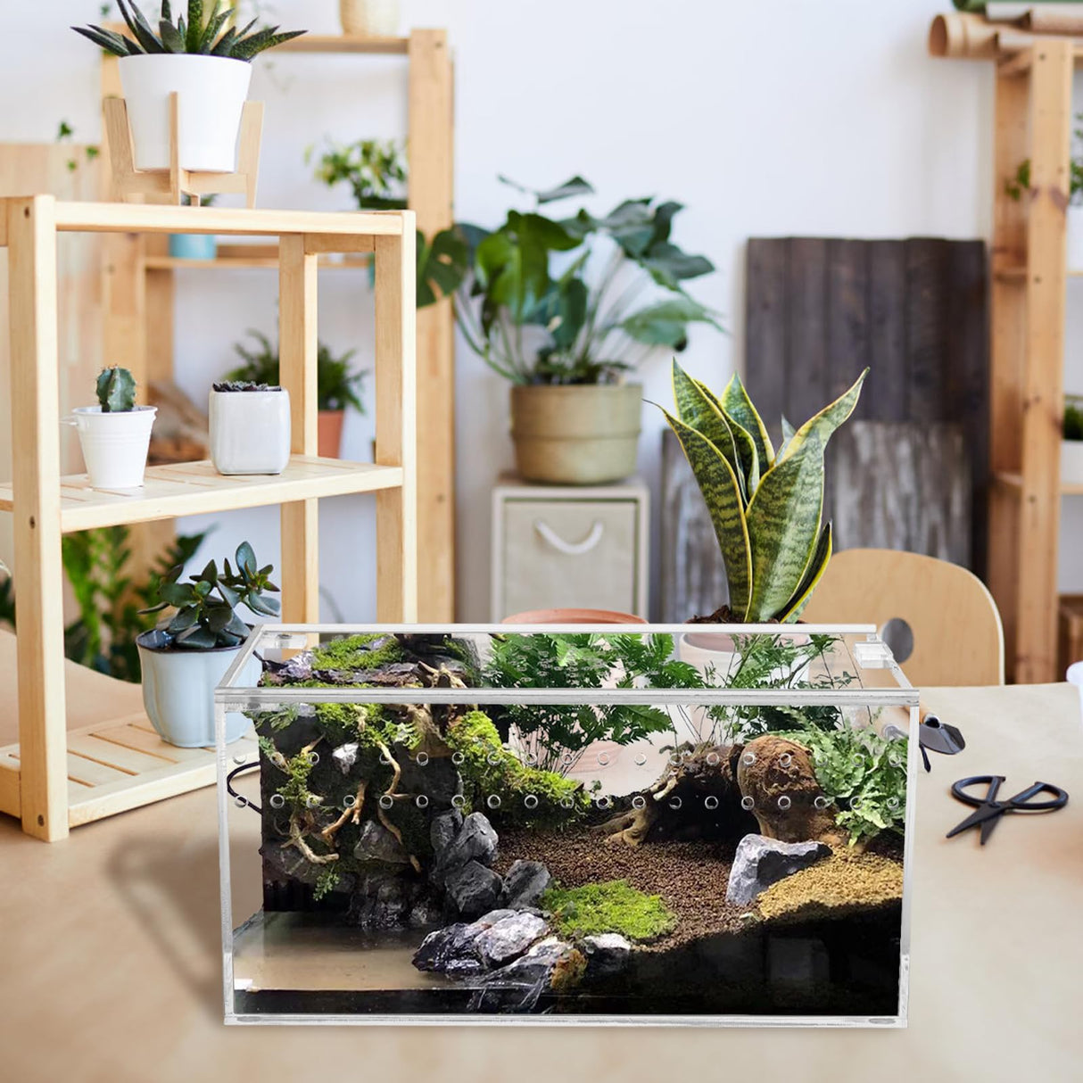 Tlence Acrylic Tarantula Enclosure Terrarium, 8" x 4" x 4" Small Magnetic Reptile Tank, Micro Spider Breeding Habitat Cage, Clear Ventilated Lizard Display Box for Hermit Crab Invertebrates Scorpion