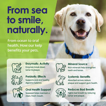 Load image into Gallery viewer, Dog Teeth Cleaning Powder, Dog Plaque and Tartar Remover, Bad Breath Treatment for Dogs with USDA Organic Sea Kelp Powder, Dog Dental Care Made Easy, for All Ages, 6oz