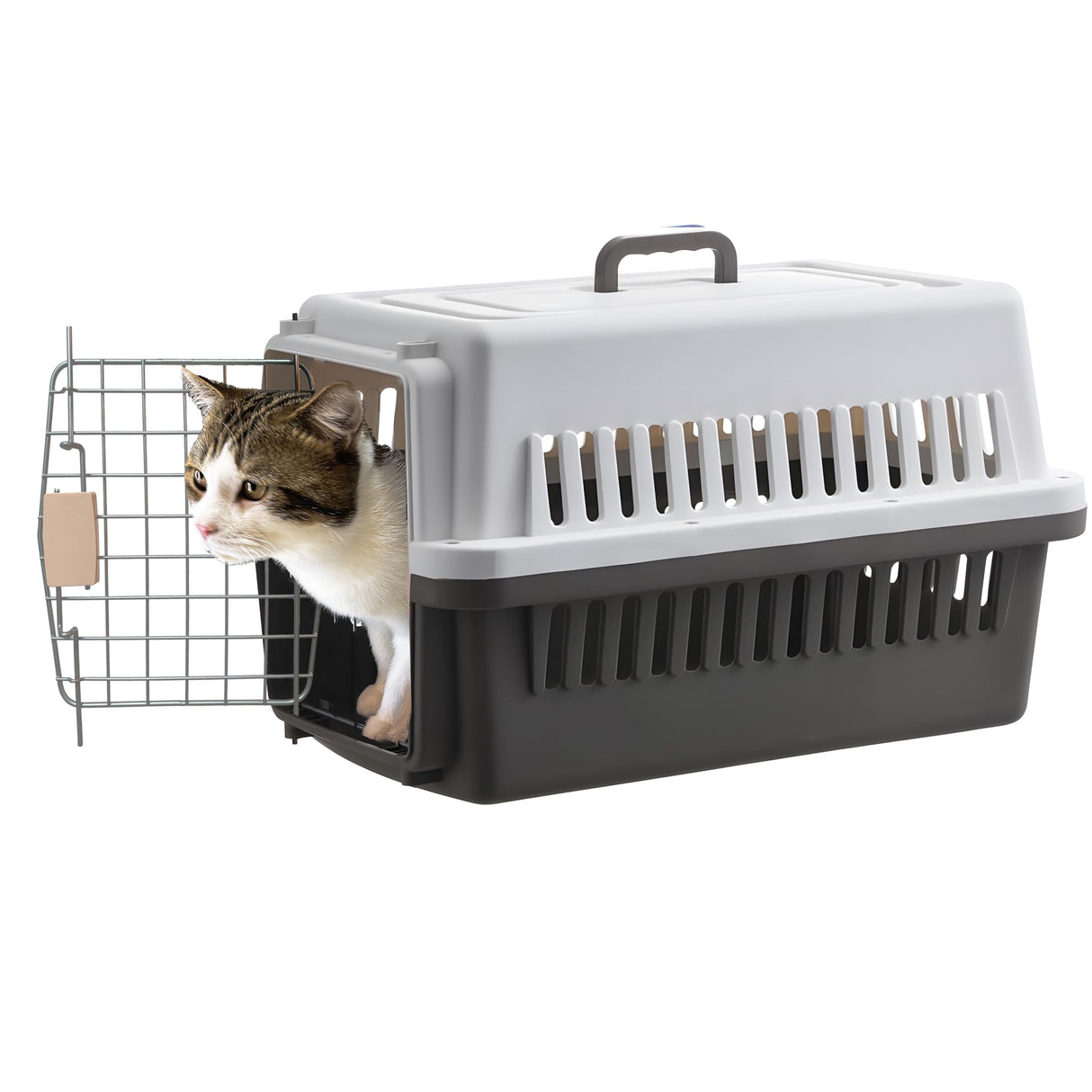 LLGJ-Pets Spree Travel Pet Carrier Dog/cat Hard-Sided Carriers for Pets up to 14 Pounds Small Animal Carrier Airline/Road Travel Approved Stout (Coffee)