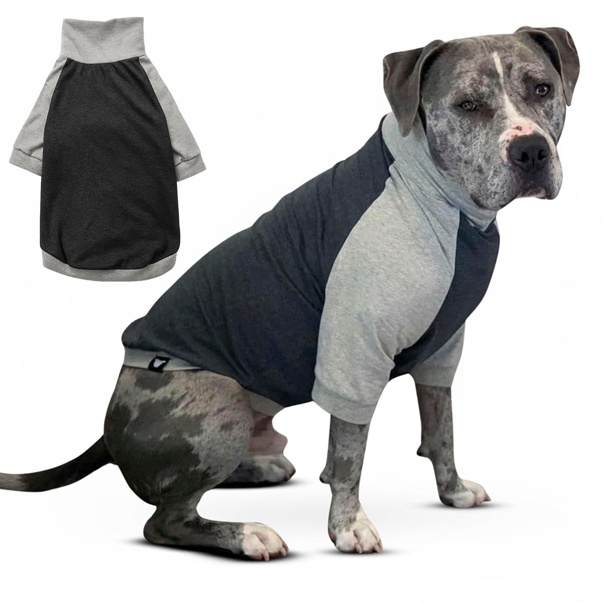 Tooth & Honey Dog Shirt for Medium Dogs β Breathable Cotton & Spandex Pullover with Full Underbelly Coverage β Grey Allergy & Summer Protection (Medium)