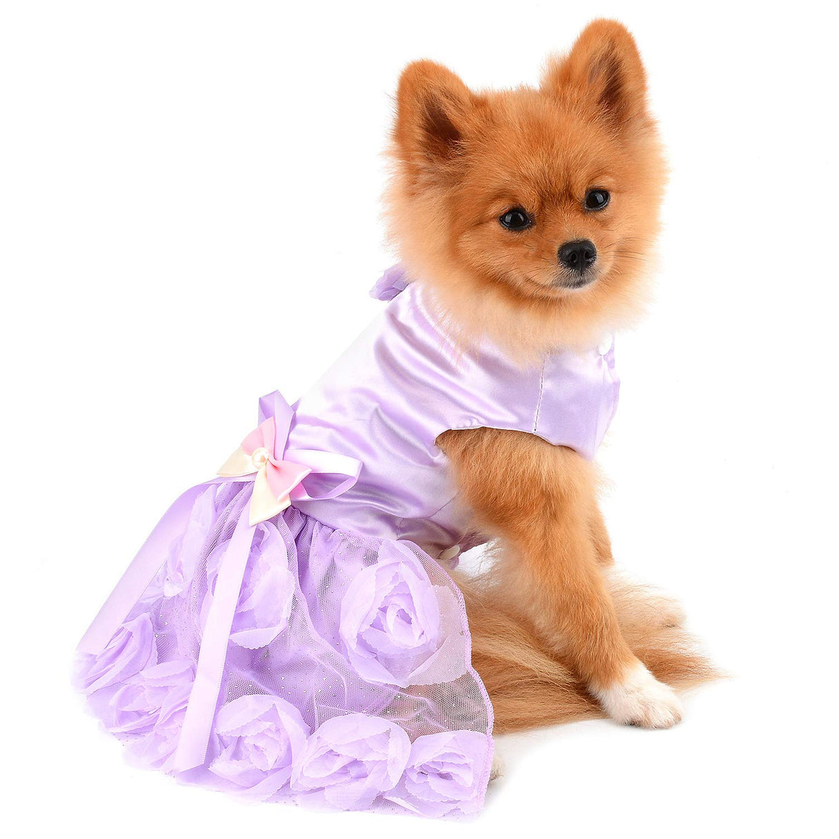 PAIDEFUL Pet Dress for Small Dog Girls Luxury Puppy Wedding Dress Rose Flower Lace Tutu Skirt Silky Bow Birthday Party Dog Clothes,Purple,Size XL