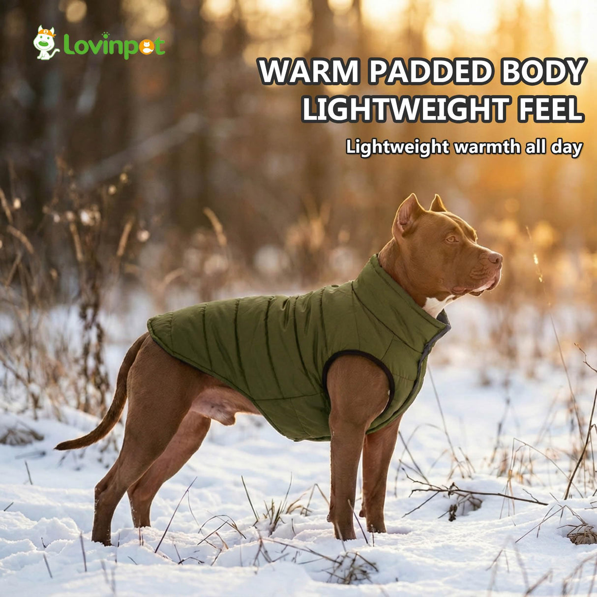 LovinPet Reversible Dog Puffer Coat for Medium & Large Dogs, Down‑Insulated Winter Jacket, Water‑Resistant & Wind‑Resistant, Anti‑Static, Dual-Sided Dark Green & Grey for Cold Weather,2XL
