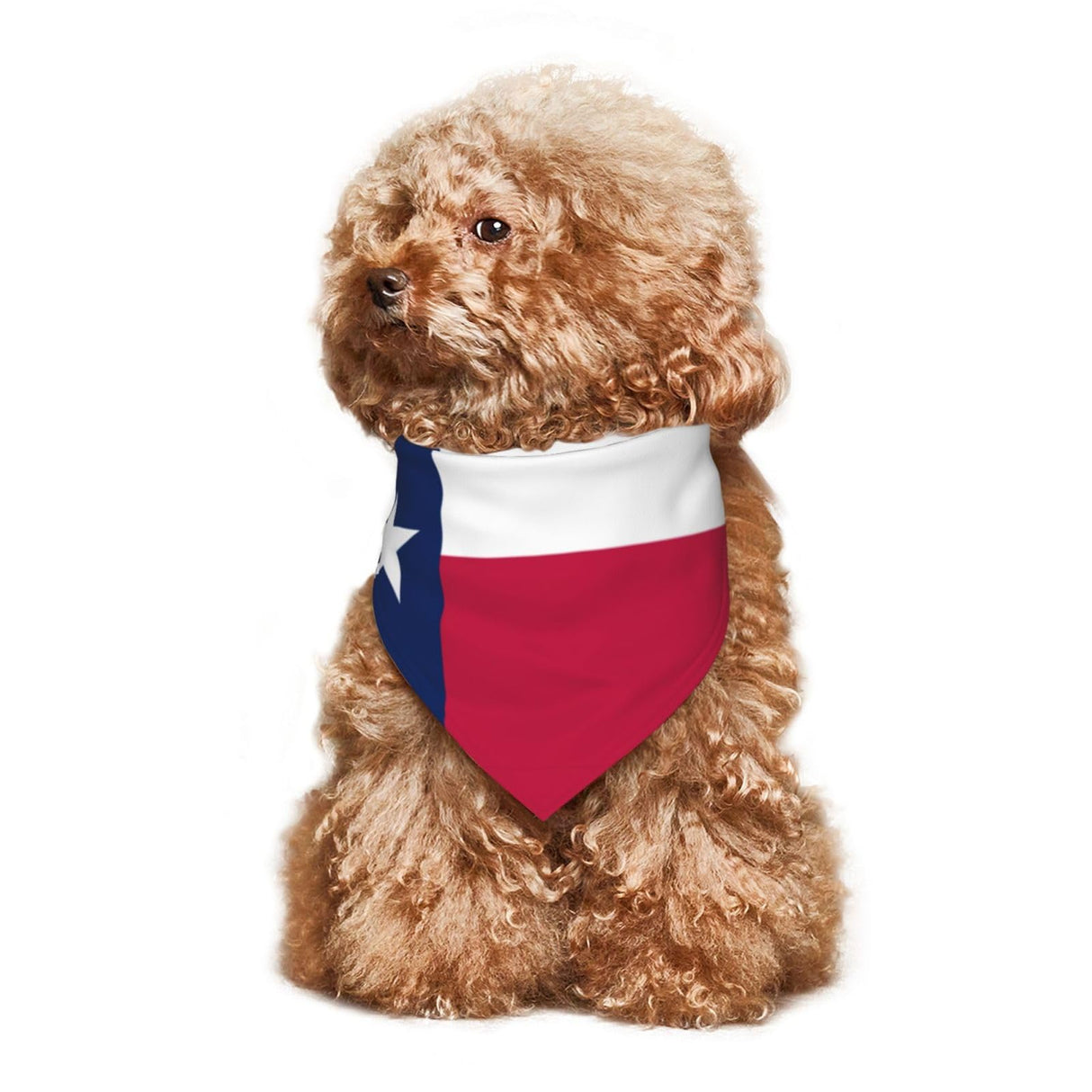 Flag of Texas Triangle Dog Bandana Scarf Accessories for Pet Bibs
