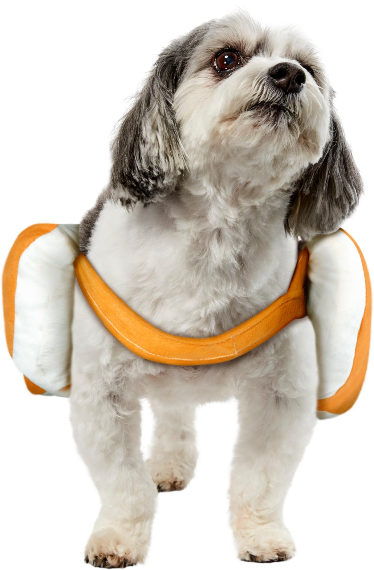 Rubies Hot Dog Pet Costume for Dogs or Cats, Medium