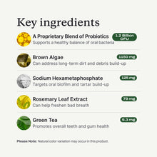 Load image into Gallery viewer, PetLab Co. ProBright Dental Powder - Dog Breath Freshener - Teeth Cleaning Made Easy – Targets Tartar & Bad Breath - Formulated for Large Dogs - Packaging May Vary