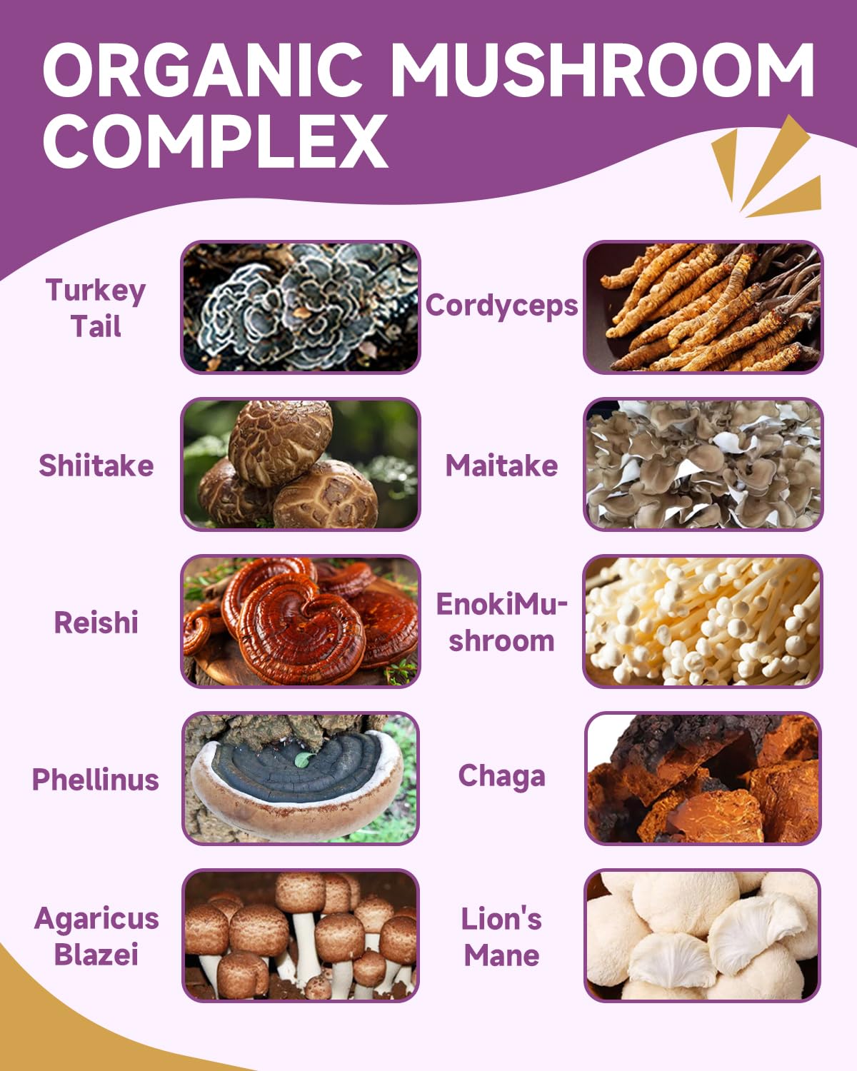 NaSeny Mushroom for Dogs & Cats - Turkey Tail for Dogs - 10 Organic Mushroom Supplement with Turkey Tail, Reishi, Lions Mane - Lumps & Bumps, Immunity, Gut, Skin, Joint Health - Chicken Flavor