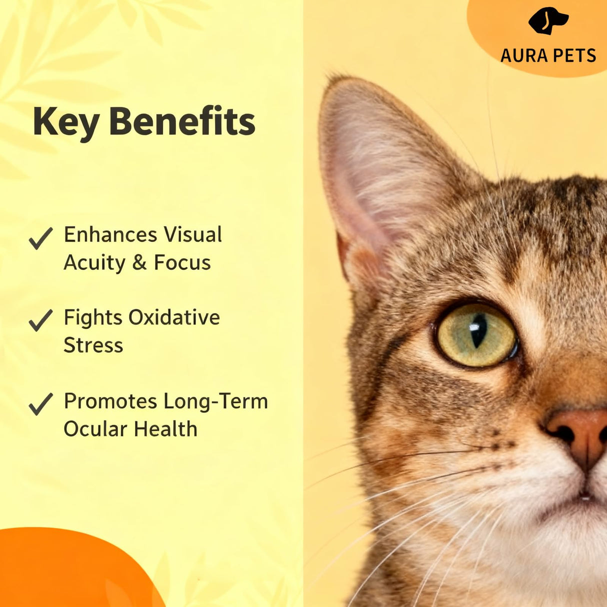 Aura pets Advanced Vision Formula for Dogs, AuraPets Vision Formula, with Lutein, Zeaxanthin, Astaxanthin, Supports Vision and Reduces Cloudiness, 30ml (1)
