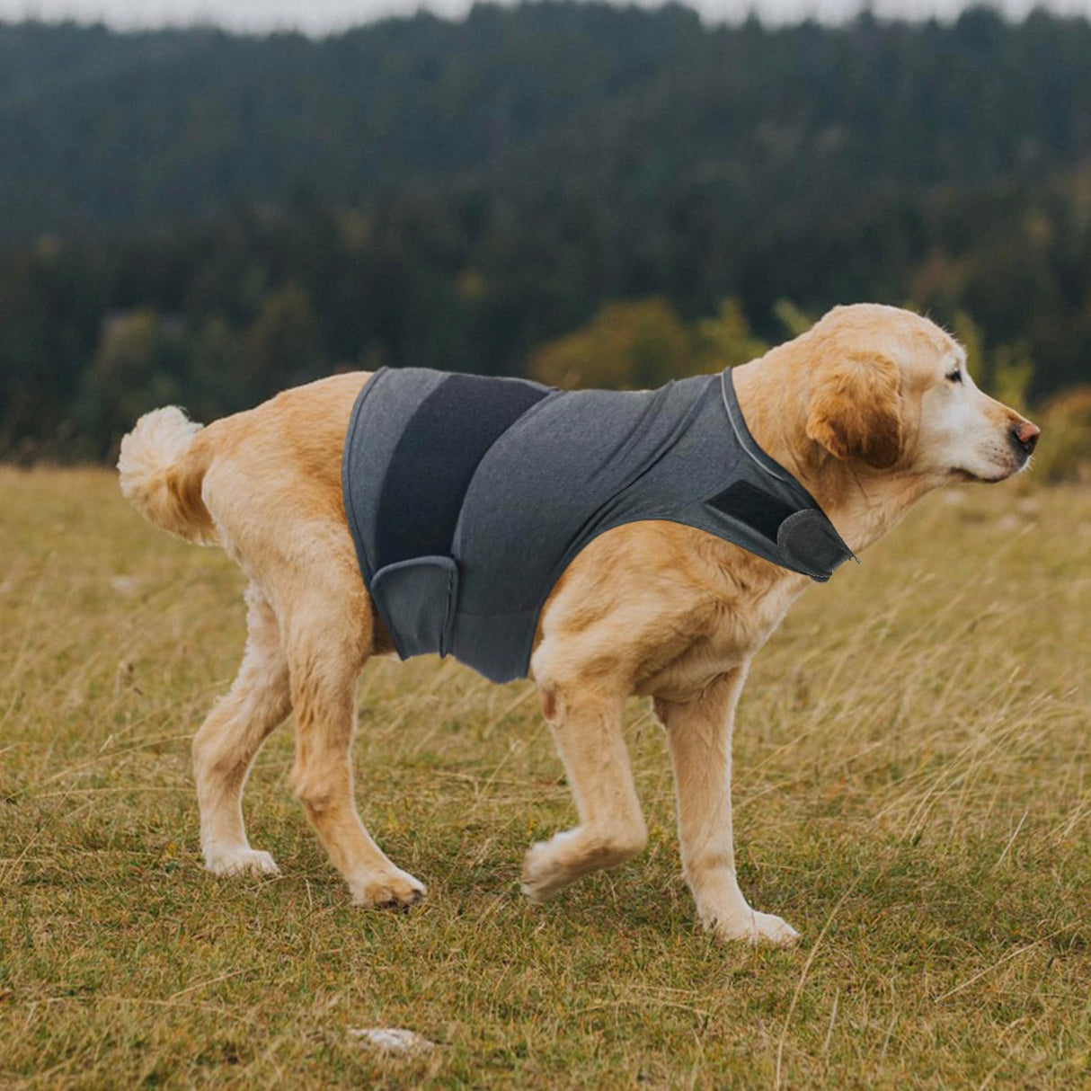 Dog Anxiety Shirt, Jacket Stress Relief Coat, Adjustable Vest for Fireworks, Thunderstorm, Calming Vest Wrap Clothing for Dogs (XL)