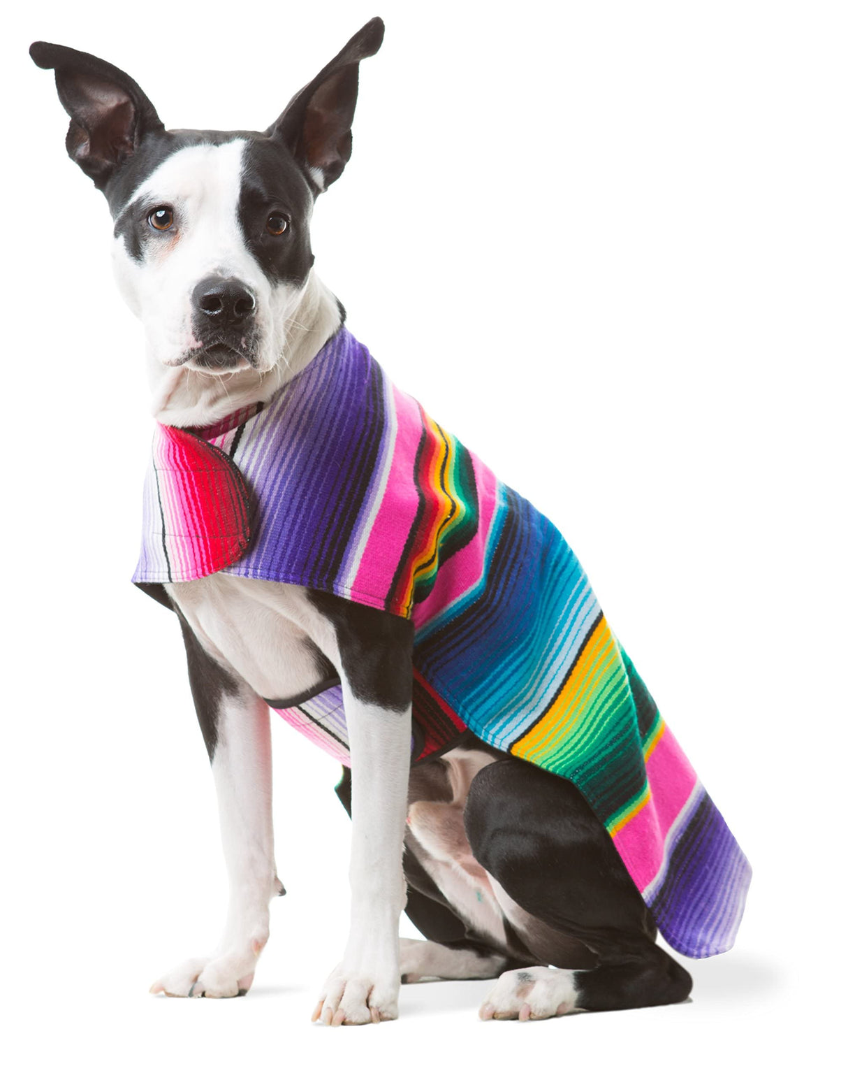 Dog Clothes - Handmade Dog Poncho from Authentic Mexican Blanket (Pink, X-Small)