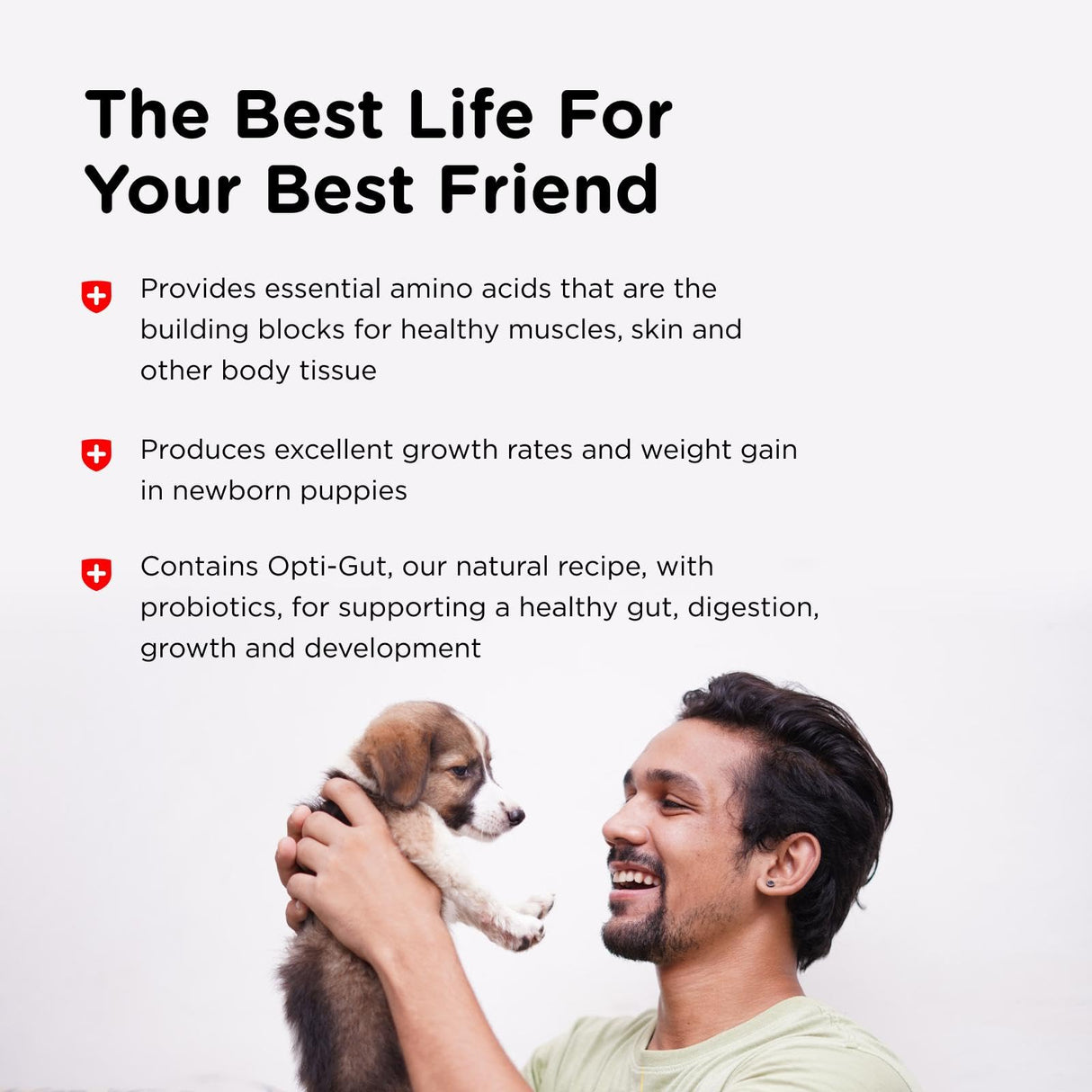 Nutri-Vet Milk Replacer For Puppies, Powdered Milk, Newborn Puppy Feeding, Dog Essentials, Dog Care, Veterinarian Recommended Dog Essentials, Whelping Supplies, Food Replacer, 12oz
