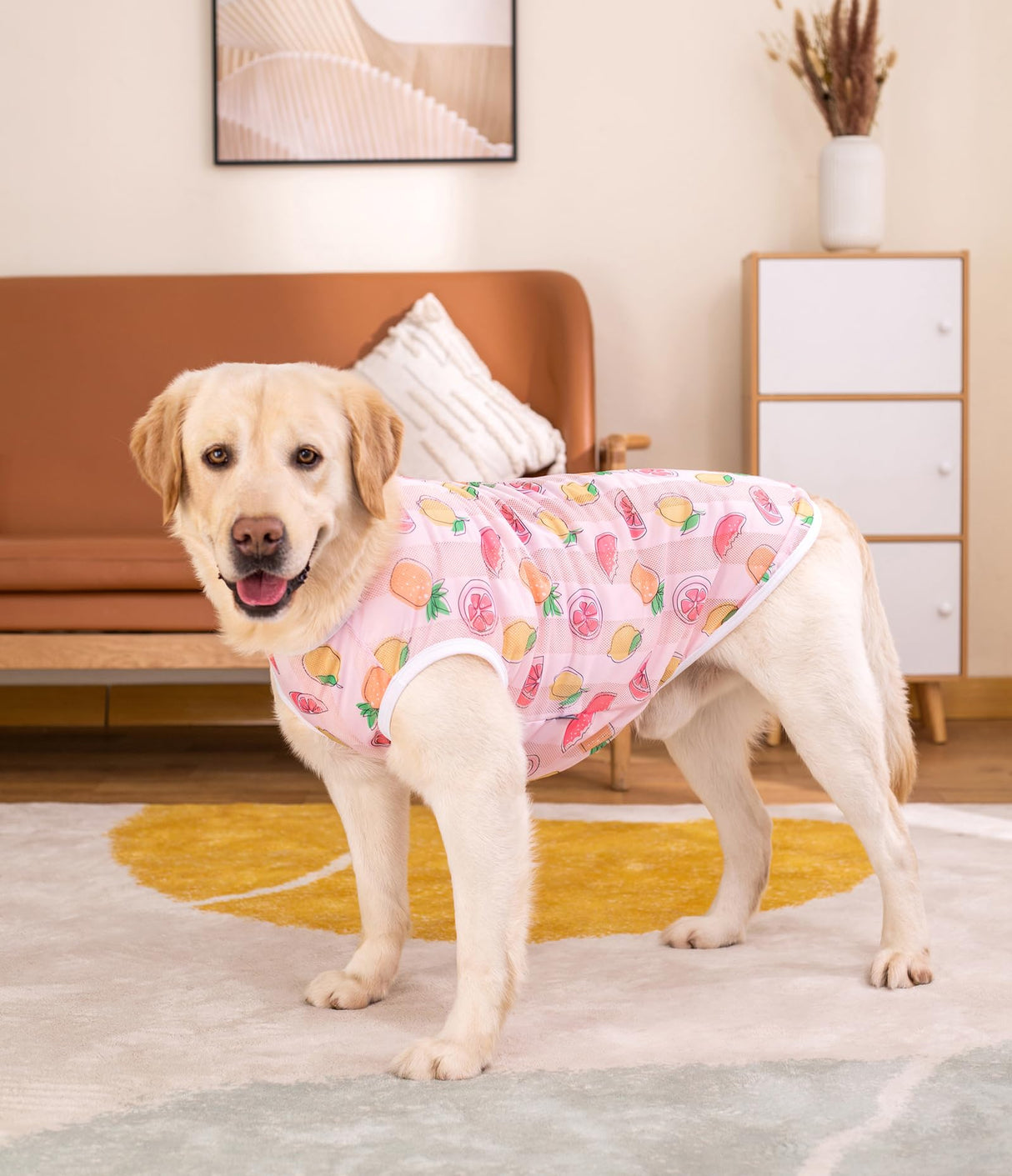 HDKUW Pet Clothes,Dog Summer T-Shirt Cool Breathable Sunscreen Dog Vest Clothes Outfit Costume for Medium Large Dogs Pink Fruit 3XL
