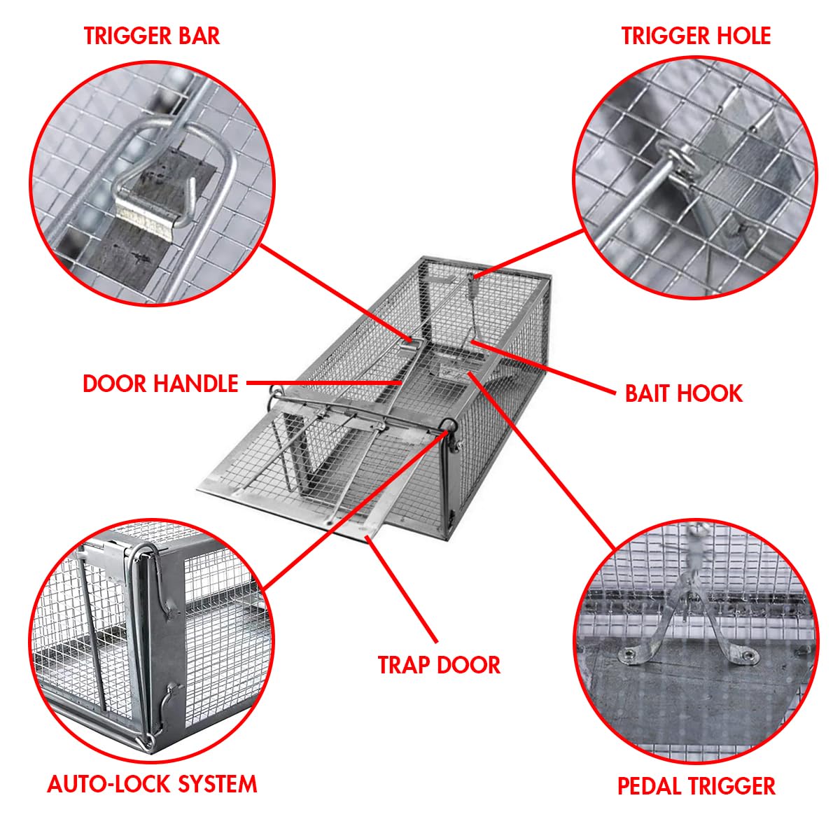 Humane Chipmunk,Rat Trap That Works 12.5"x6.5"x5.5", Small Rodent,Squirrel Trap Cages | Catch and Release | Reusable and Durable | No Kill Animal Trap | for Indoor and Outdoor