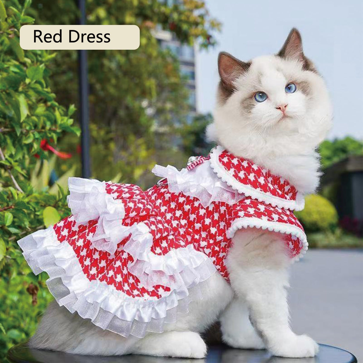 Dog Clothes Dog Dresses, Cute Puppy Dresses Pet Cat Princess Bowknot Clothes Cute Puppy Summer Outfits for Medium and Small Dogs Cat Girls (Black T-Shirt, X-Small)
