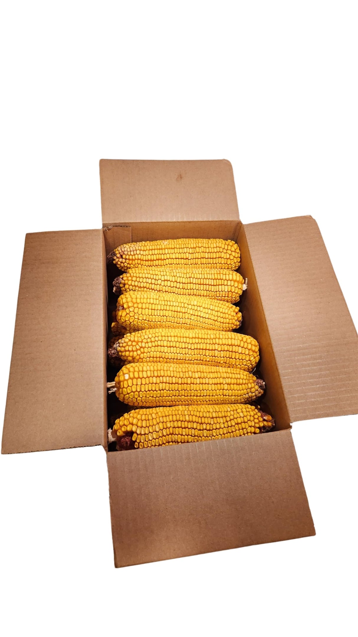 Himsel Farms Wildlife Treats,Ear Corn Kernels, Hand Packed Boxes, Squirrel Food, 10 Pound (Pack of 1), Yellow