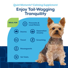 Load image into Gallery viewer, NaturVet Quiet Moments Calming Dog Supplement, Dog Soft Chews with Melatonin to Help Reduce Stress from Storms, The Vet, Fireworks, and Travel, Bacon and Chicken Flavored Pet Supplement, 65 Count