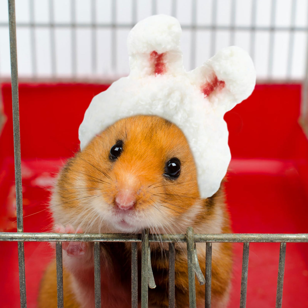 Kajaia 10 Pcs Hamster Hat Small Animals Cute Tiny Hat Mini Hand Knitted Hats for Snakes Pets Bearded Dragon Guinea Pig Bunny Costume Accessories Easter Holiday Parties (Novel Style)