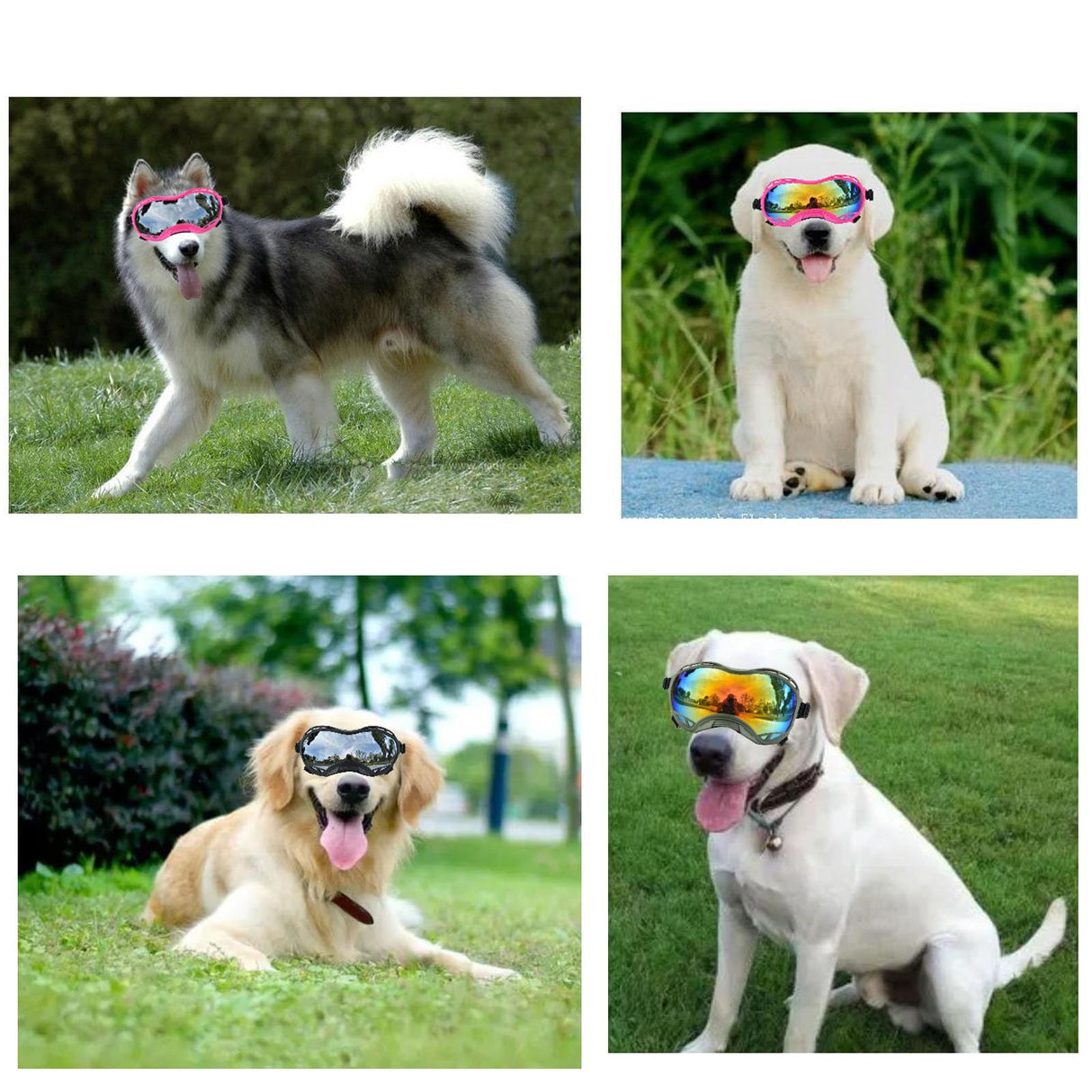 Soft Dog Goggles Anti-UV Sunglasses for Large Breed Dogs, Dustproof Windproof Snowproof, Bule Frame & Colored Lens