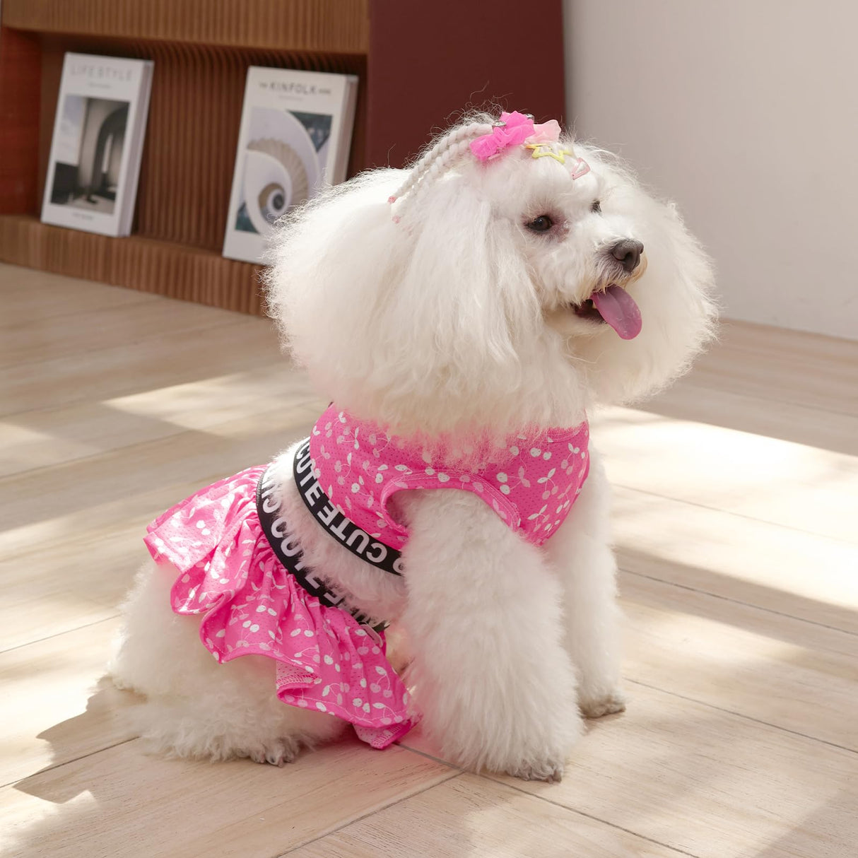 CuteBone Two Piece Dog Sports Dress Athleisure Puppy Skirt Lightweight Small Dogs Girl Clothes Cat Apparel SPS12L