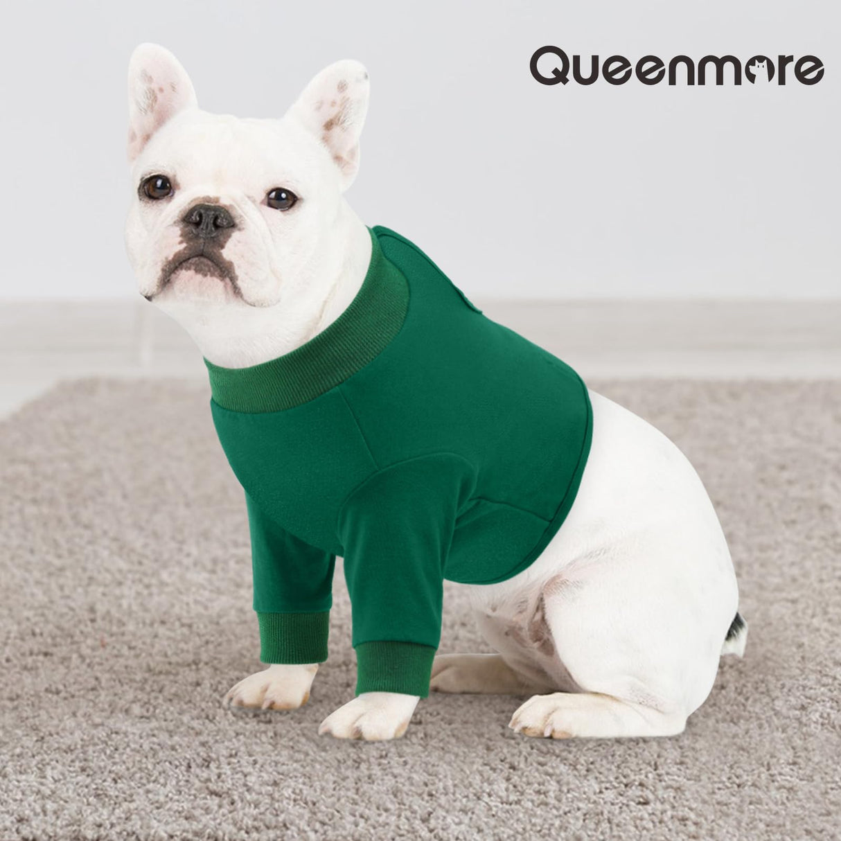 Queenmore Dog Recovery Suit for Front Legs, Adjustable Dog Leg Sleeves to Stop Licking, Breathable Recovery Sleeve for Large Breeds, Wound Care for Pets, Green, L