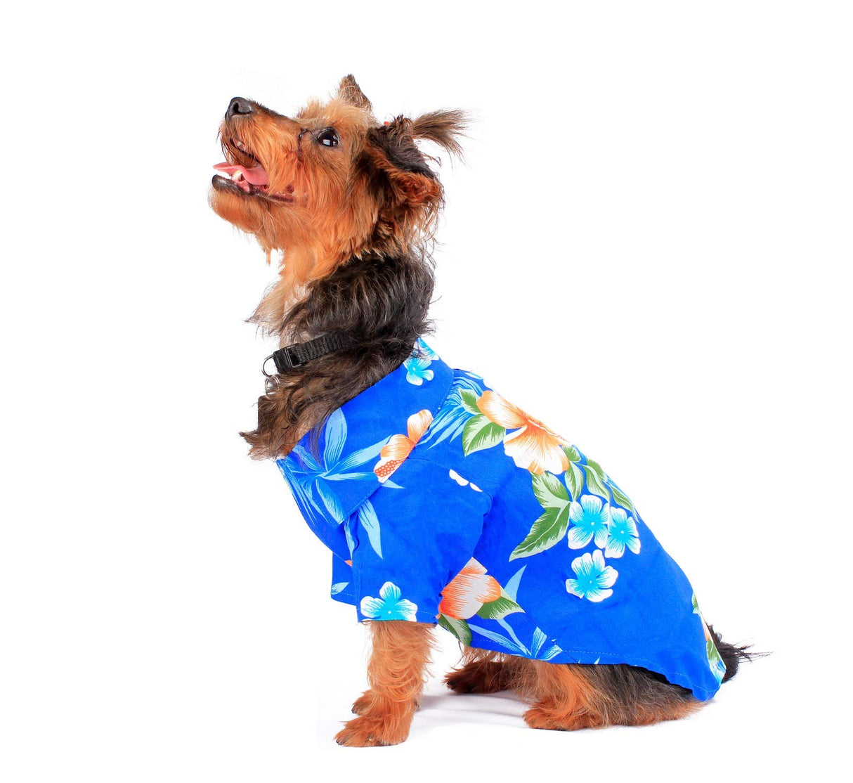 Matchable Family Hawaiian Luau Shirts, Hibiscus Blue, Dog, Medium