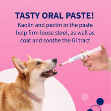 Load image into Gallery viewer, Nutramax Proviable Probiotics for Dogs, Diarrhea Support Kit, Digestive Health Supplement with Multiple Strains of Bacteria, Plus Prebiotics, Kaolin and Pectin, 30 ml Paste and 10 Capsules