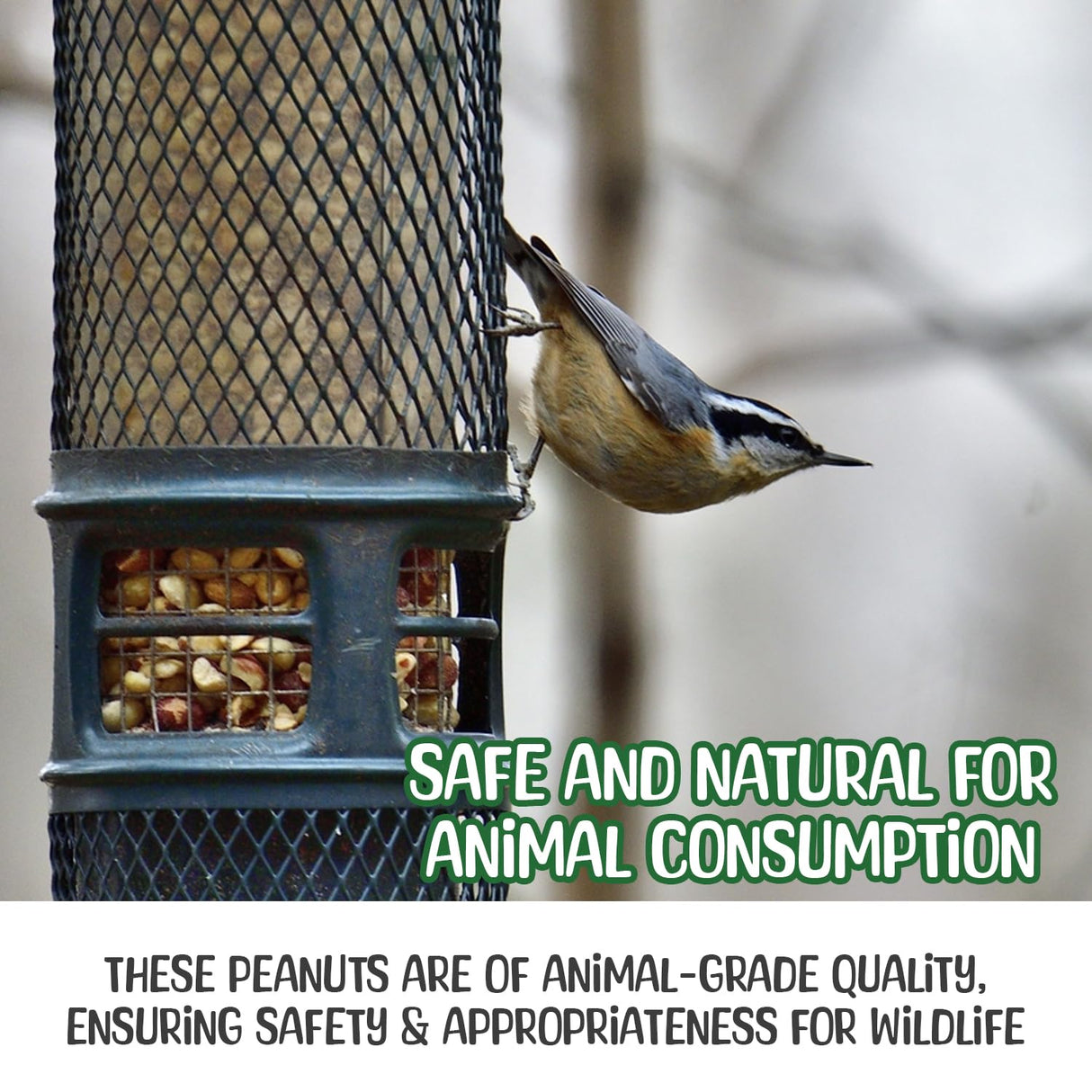 Sneaky Mango Premium Quality Raw Peanuts in Shell - 8 Pounds – All-Natural Food for Squirrels, Deer, Birds, and Other Wildlife Animals – Grown in The USA for Healthy Nutrition