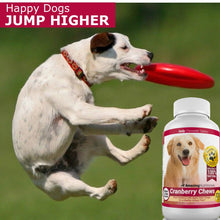 Load image into Gallery viewer, Amazing Cranberry for Dogs Pet Antioxidant, Urinary Tract Support Prevents and Eliminates UTI in Dogs, 120 Chews