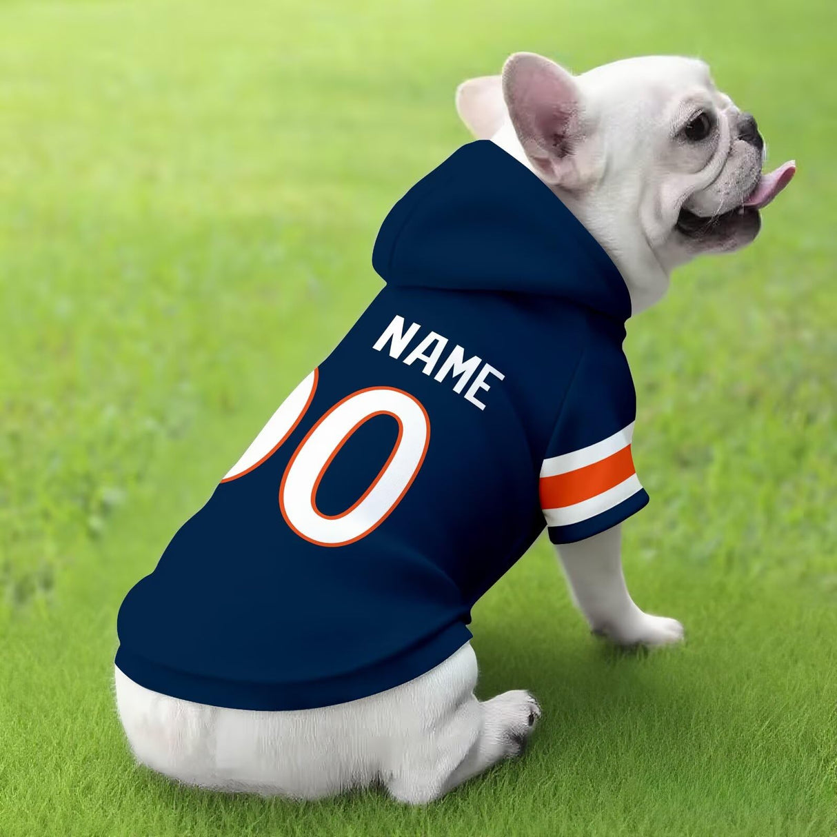 ANTKING Denver Dog Hoodie T-Shirt Pet Clothes Jersey Custom Name and Number Gifts