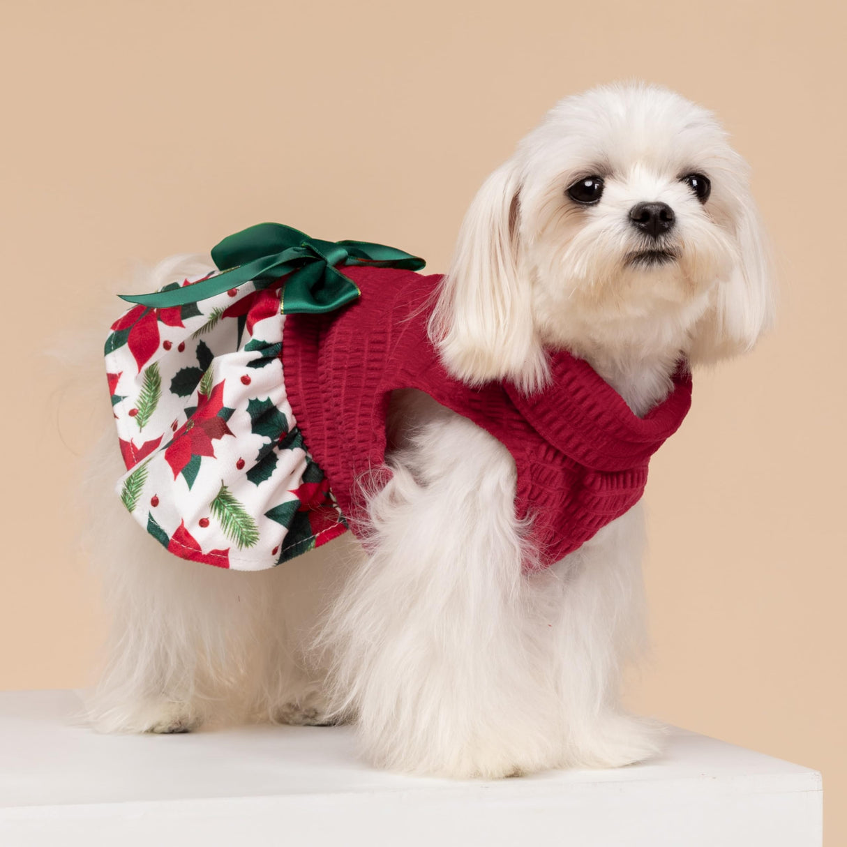 Fitwarm Christmas Poinsettia Flower Dog Turtleneck Dress, Holiday Clothes for Small Dogs Girl, Pet Festive Outfit, Red, White, Small