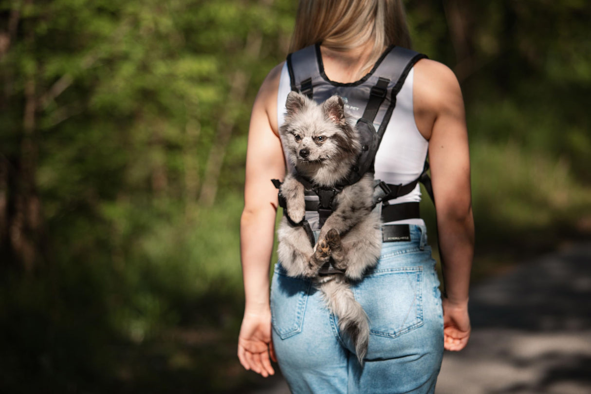 My Modern Pet Dog Carrier Backpack for Small & Medium Dogs – Hands-Free Front Chest Carrier, Escape-Proof, Breathable, Adjustable Straps for Comfortable Travel & Hiking