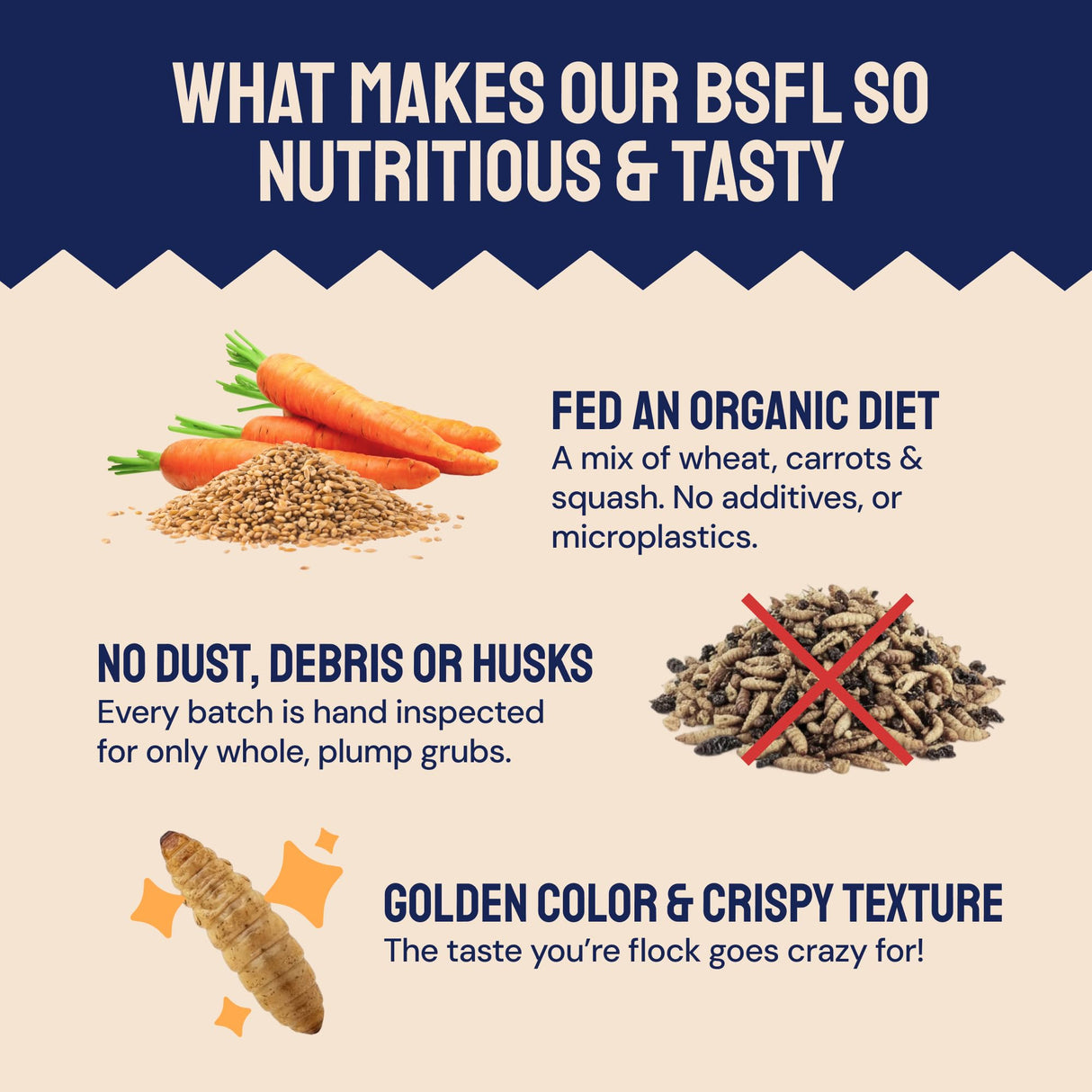 Hatortempt Black Soldier Fly Larvae - Calcium-Rich Chicken Feed Supplement - Treats for Laying Hens - Grubs for Chickens Training Rewards (10lb)