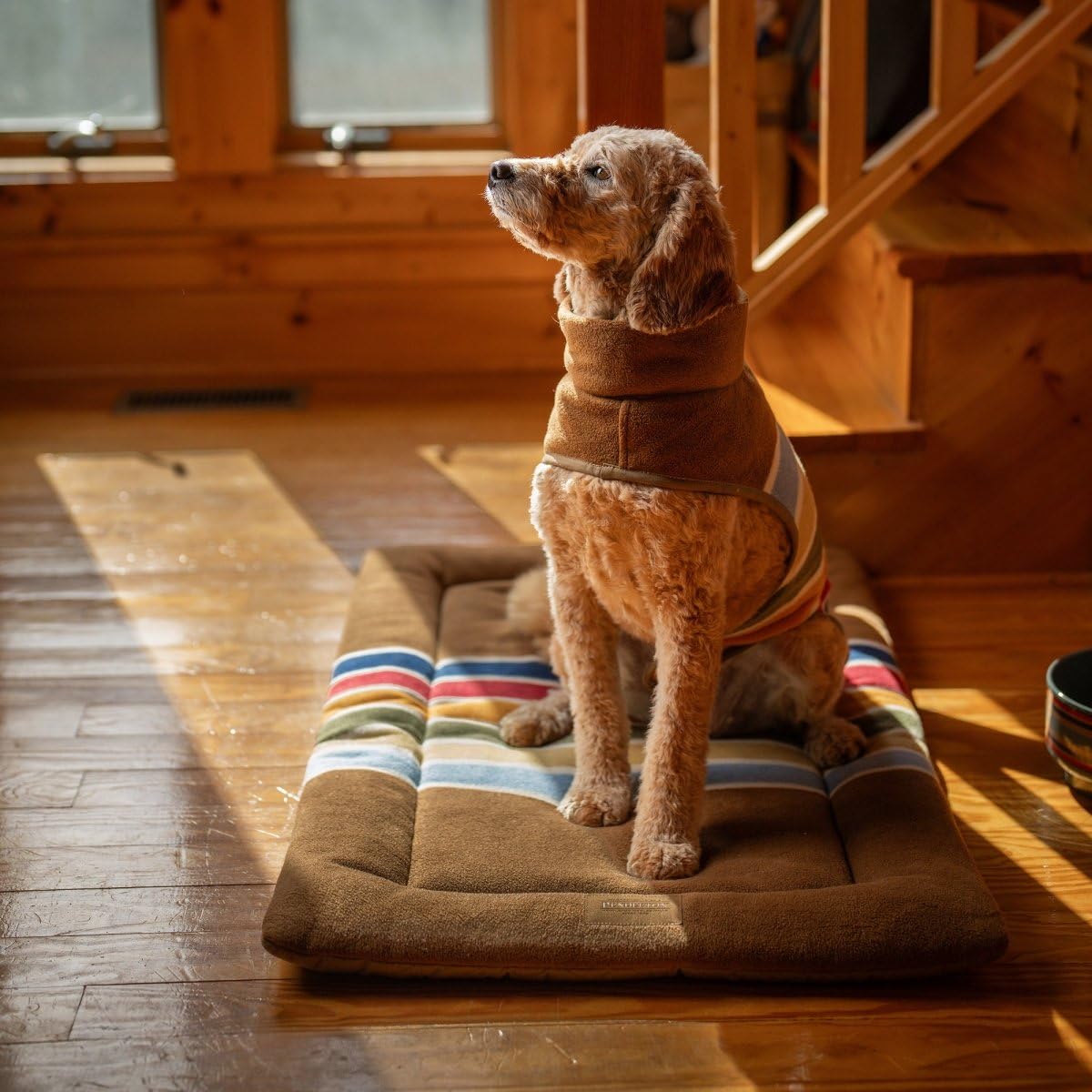 PENDLETON Glacier National Park Fleece Dog Vest – Size XX-Large (31"-41"), Adjustable Polar Fleece Jacket with Hook & Loop Belt, Warm Non-Pilling Fabric, Leash Access Slot, Machine Washable