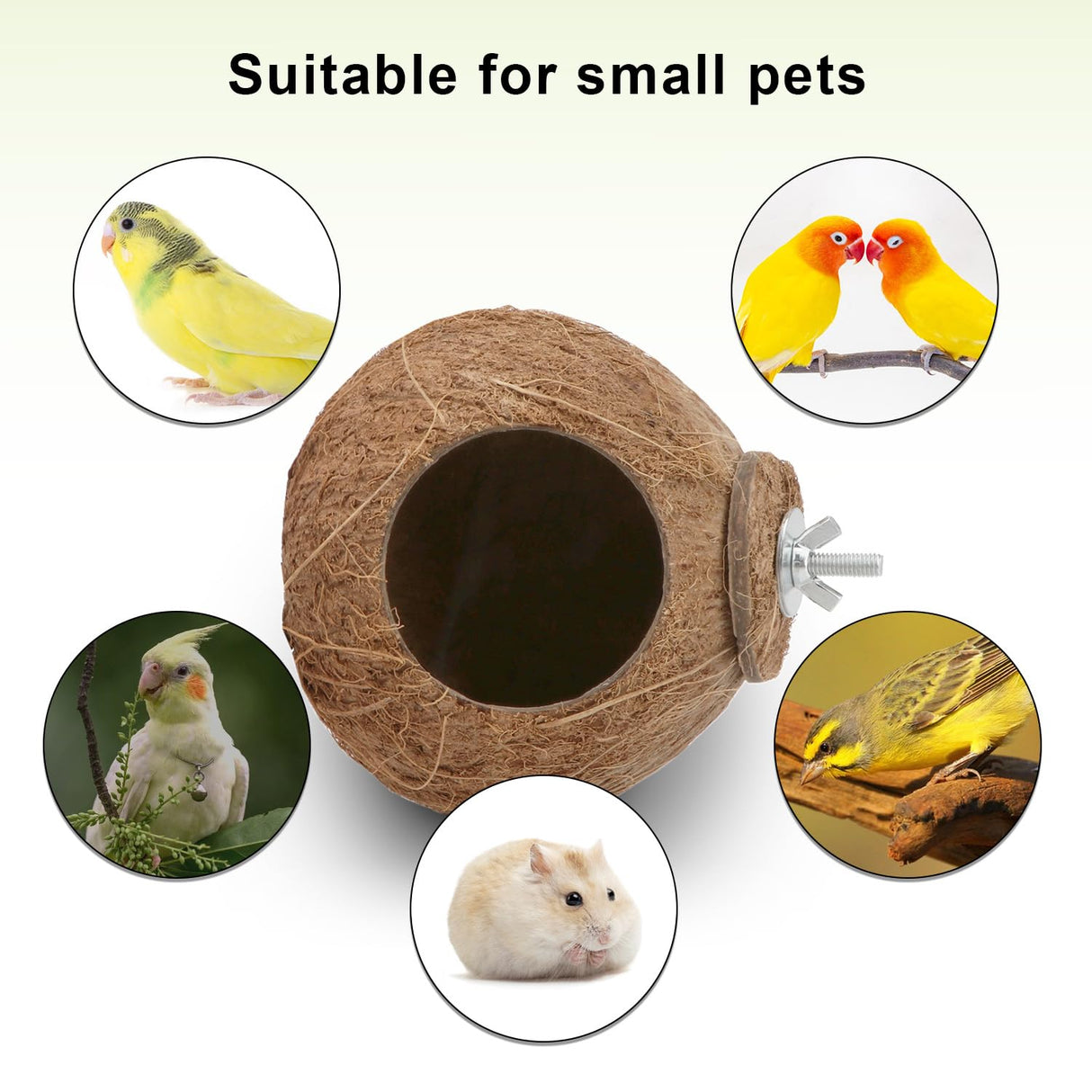 Hypeety Pet Bird Breeding Nest Coconut House Swing Ladder Toys Parrot Parakeets Finches Hamster House Natural Nest Lovebird Cage Hanging Swing Perch (C:Coco Cage Perch Toy)