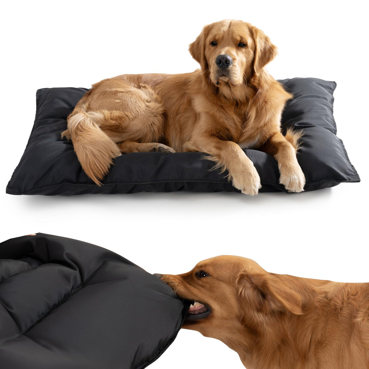 Couzssyhi Chew Proof Indestructible Dog Bed - Durable Dog Bed for Aggressive Chewers, Machine Washable & Waterproof Indoor Outdoor Crate Pad, Tough Kennel Pad for Small Dogs (Small (18"x29"))