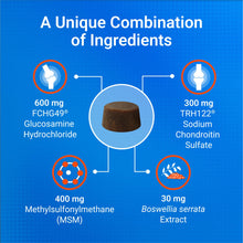 Load image into Gallery viewer, Nutramax Laboratories Cosequin DS Plus MSM Professional Line for Dogs, 60 Soft Chews