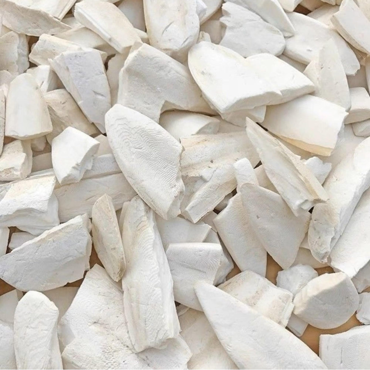 Clyairmao Bird Cuttlebone for Parakeets Cuttlebone for Birds - 100% Natural Cuttlefish Bone Bulk Chew Toy Bird Bites Calcium Stone for Canaries Tortoises,Snails,Reptiles,Parrots,Cockatiel