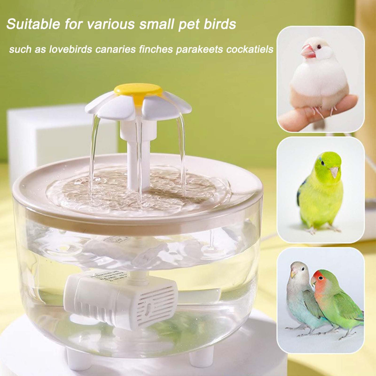 Petlex Bird Bath Indoor Automatic Parrot Shower Bathtub with Pump Recirculating Filtration Safe for Birds to Bathe or Drink, Perfect for Parakeets Budgie Cockatiels Lovebirds Finches Canaries