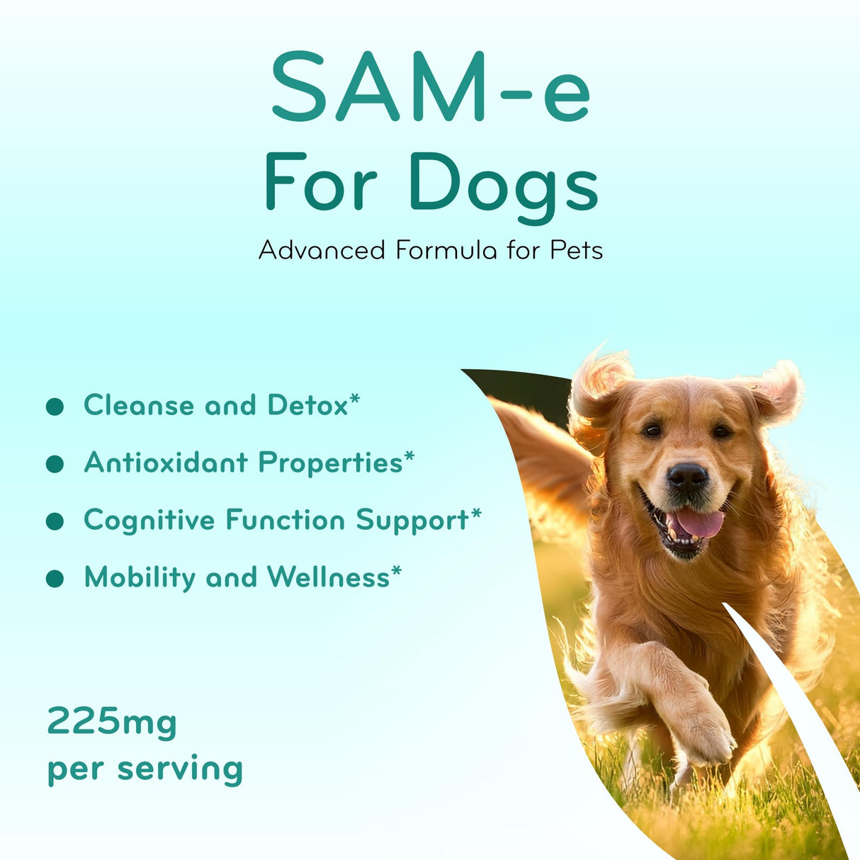 Liver Support for Dogs with SAM-e - Chewable SAM-e for Dogs Bone Mood Brain and Liver Support Supplement with Easy Absorption 225mg S-Adenosyl-L-Methionine - Made in a cGMP US Lab (Single)