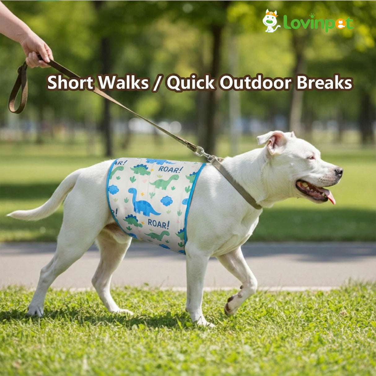 LovinPet 3-Layer Dog Belly Warmer Calming Wrap, Adjustable Abdominal Protector for Medium and Large Dogs, Anti-Chafe Moisture Barrier, Memory-Foam Core + Mesh Lining, Dinosaur Print,White