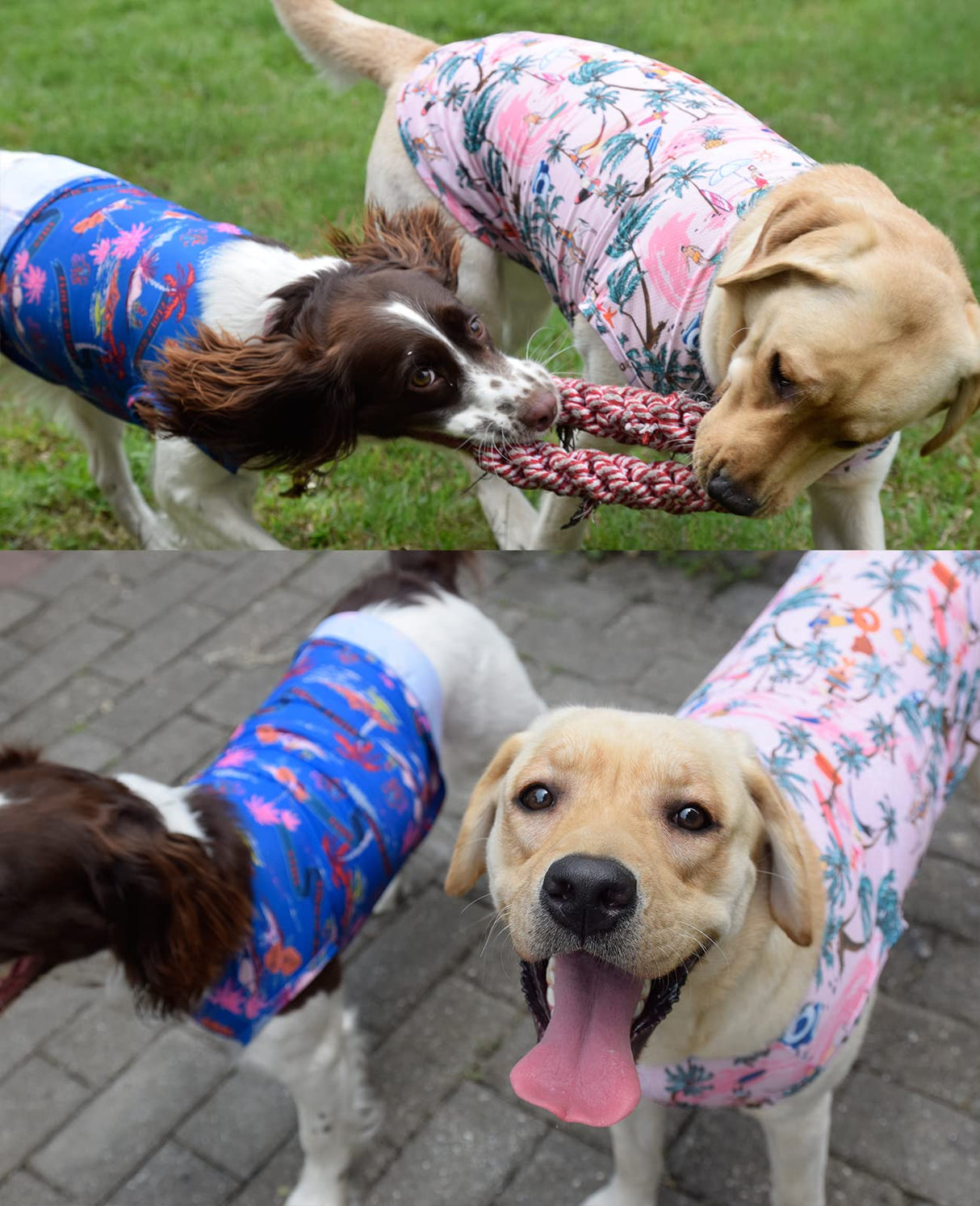 Uadonile Dog Cooling Shirts, Medium Dog ShirtsDog Clothes for Boy Girl Dogs, Dogs Cooling T-Shirts for Pug, Pitbulls, Dog Summer Shirts Hawaiian, M, 2 Pcs
