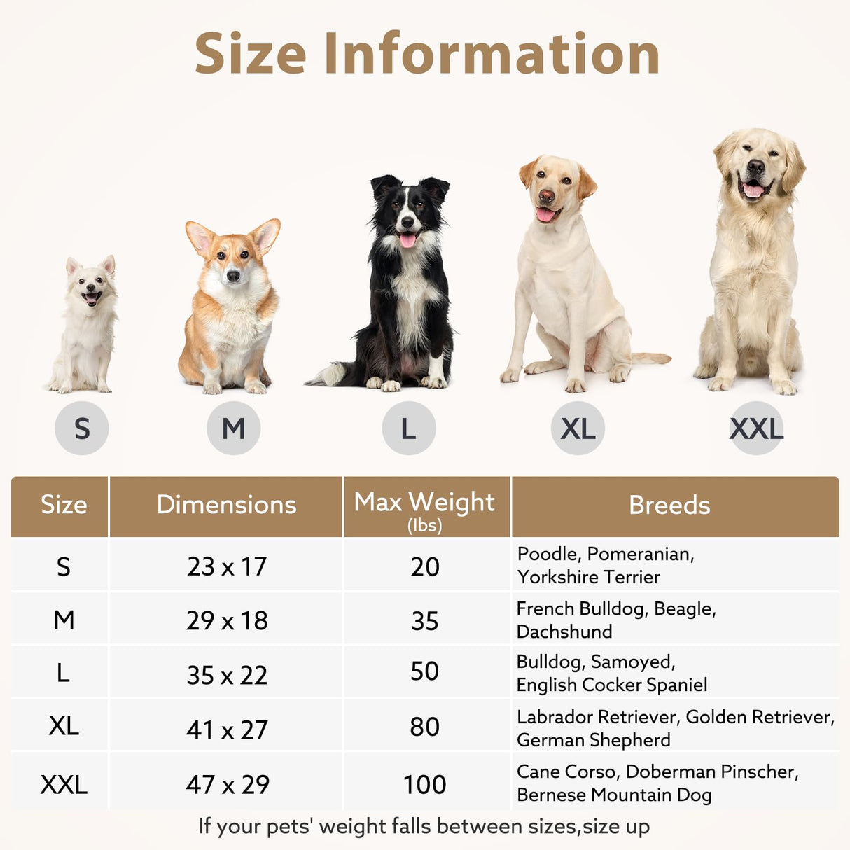 JOEJOY Orthopedic Dog Bed for Large Dogs, Washable Dog Crate Bed Large Sized with Removable Cover, Egg Memory Foam Big Pet Beds, Beige, 35"x22"