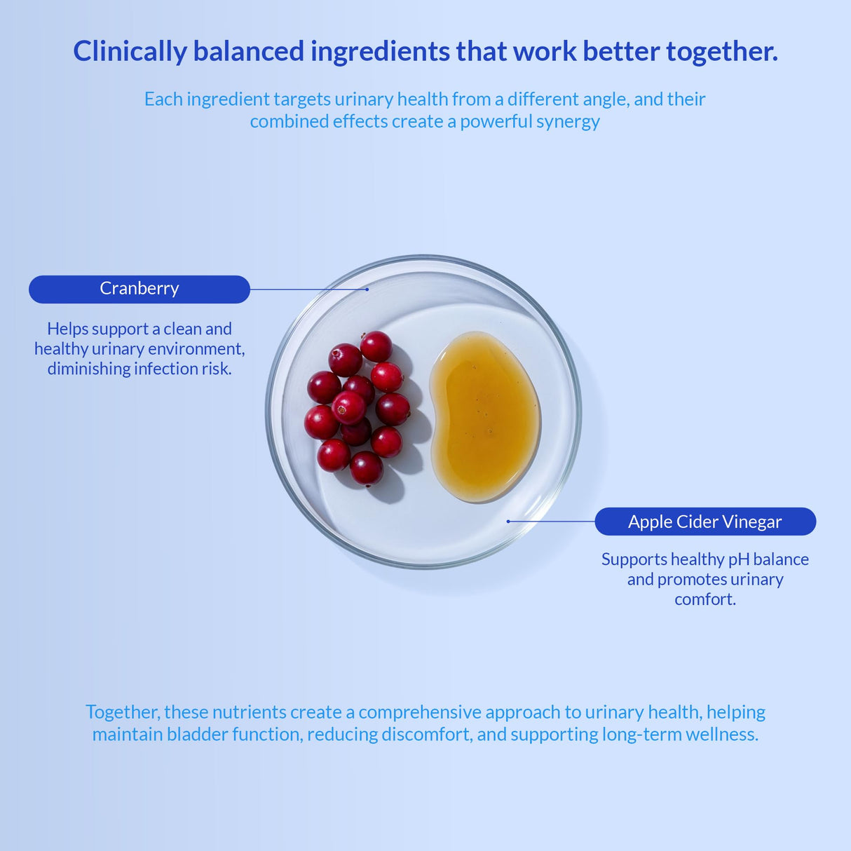 Cranberry for Dogs - Urinary Tract Support, Bladder Health, Dog UTI, Bladder Stones, Incontinence Support (Tablet)