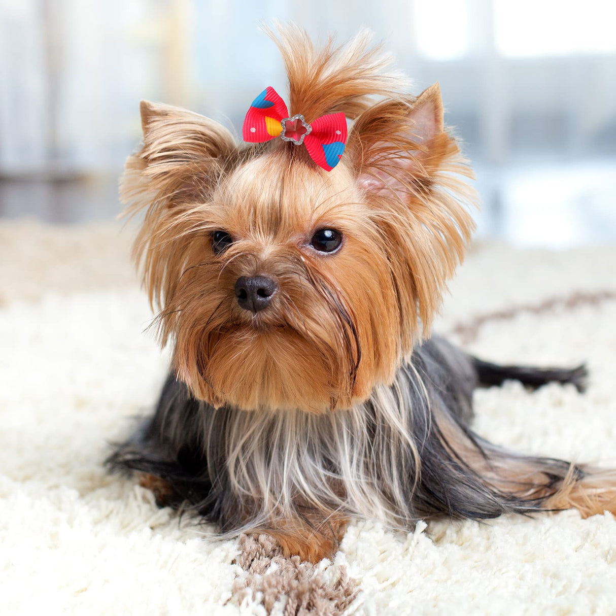 Reginary 300 Pack Dog Bows Grooming Cute Dog Hair Bows Girl with Rubber Bands Small Puppy Bowknots Colorful Hair Accessories for Puppies Pets Gift
