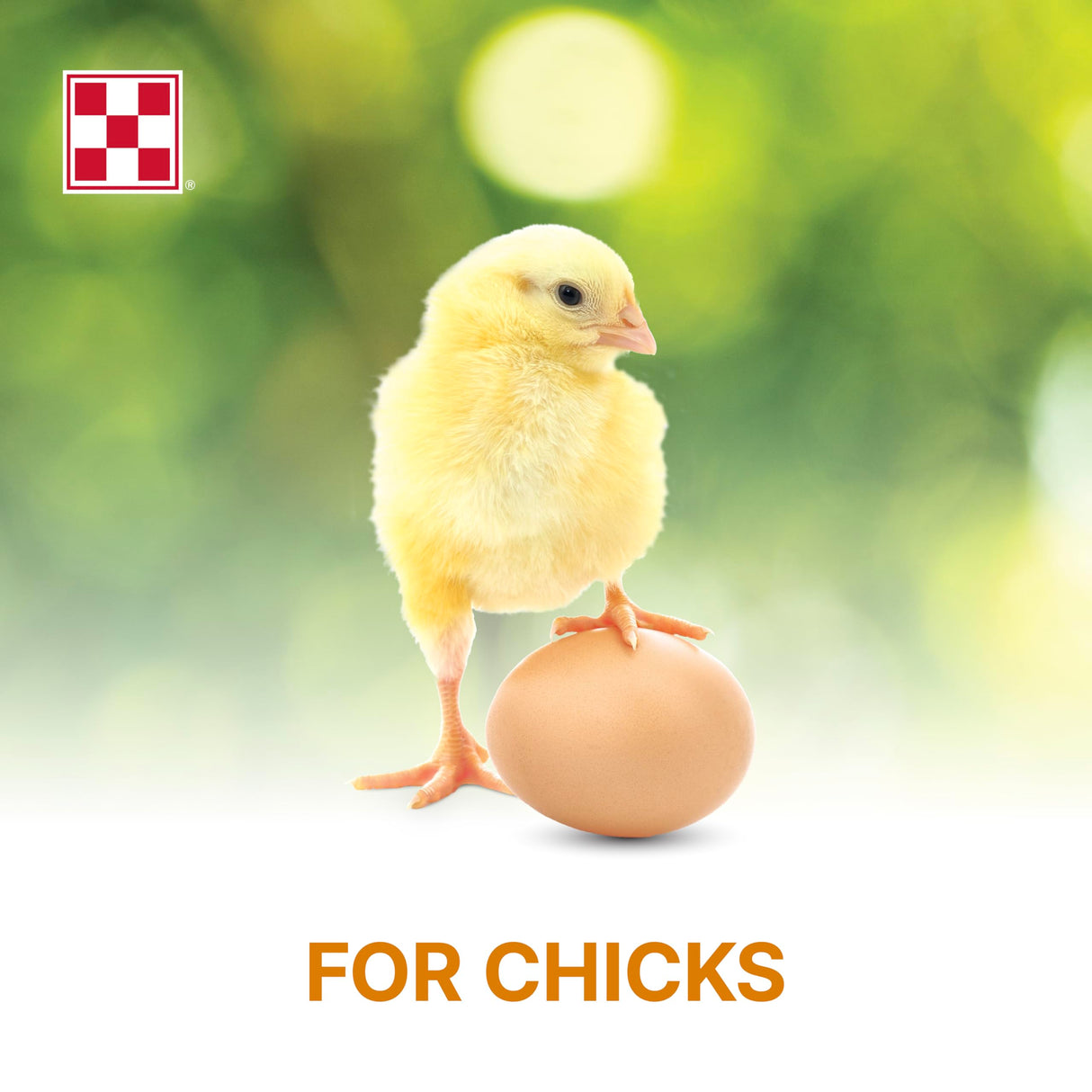 Purina Start and Grow | Non-Medicated Chick Feed Crumbles | Nutritionally Complete - 25 Pound (25 lb.) Bag