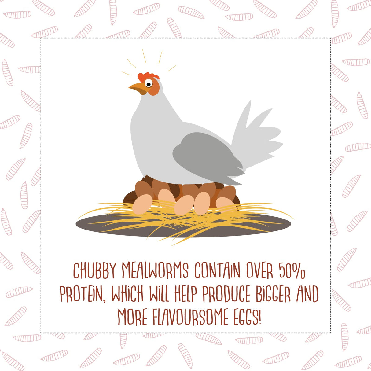 Chubby Dried Mealworms | 2 lbs | High-Protein Non-GMO Treats for Chickens, Ducks, Wild Birds & Backyard Pets
