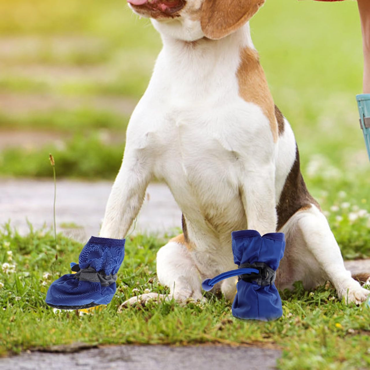 Toddmomy 12Pcs Dog Shoes Anti-Slip Sole Dog Boots & Paw Protector for Small Medium Pet Rainy Days Outdoor Use Keeps Paws Dry Warm
