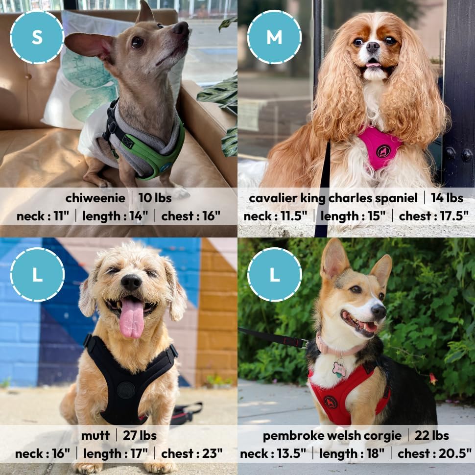 Gooby Escape Free Sport Harness - Red, Medium - No Choke Step-in Patented Neoprene Small Dog Harness with Four-Point Adjustment - Perfect on The Go Dog Harness for Medium Dogs No Pull and Small Dogs