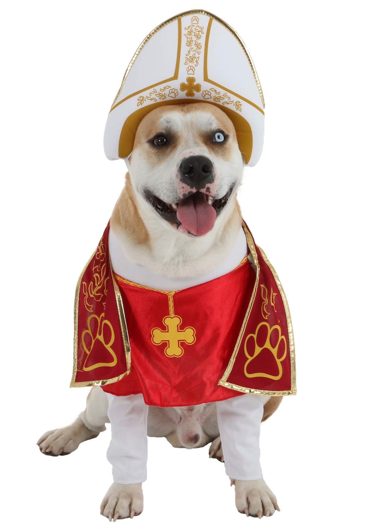 Holy Hound Pet Costume X-Small