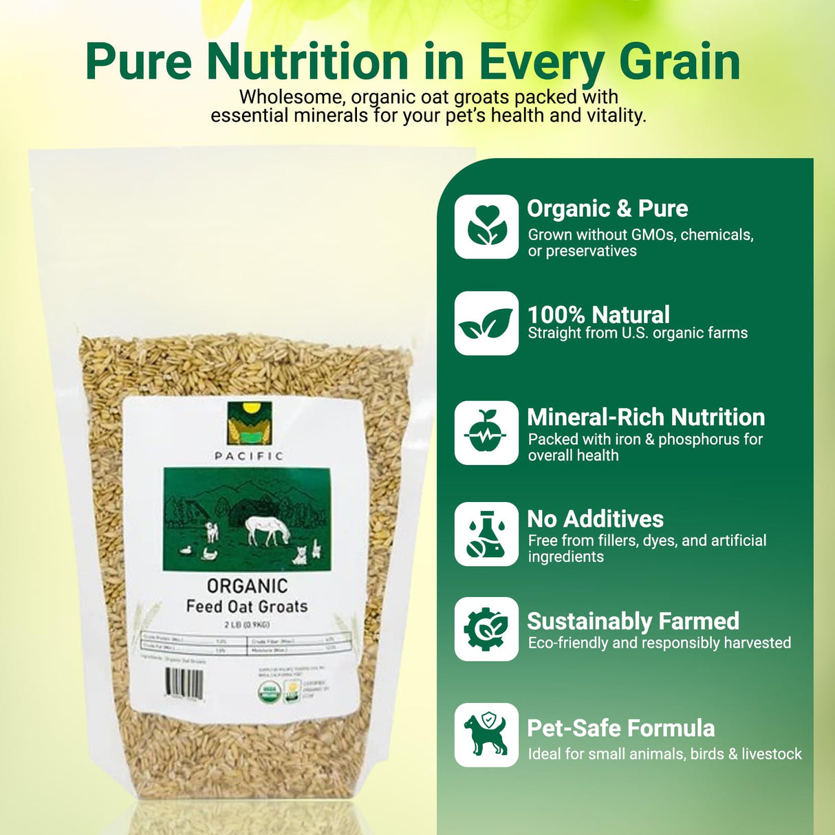 PACIFIC Organic Petfood Organic Feed Oat Groats - Oat Groats for Birds | Rich with Fiber & Minerals | USDA and CCOF Certified | Packed in USA | 2Lbs
