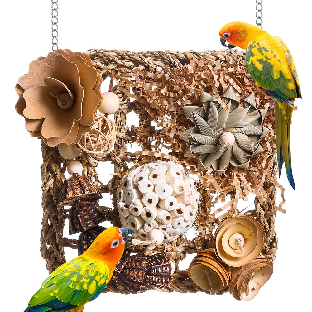 YUEMOOLIX Bird Foraging Toys Natural Bird Toys Conure Toys Parrot Shredding Hanging Toys for Small to Medium Birds Parakeet Cockatiel Conure Lovebird Budgie